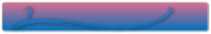 footer