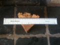 item16