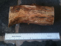 item17