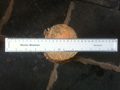 item19