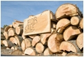 seasoned-firewood