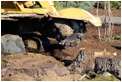 stump-grinder