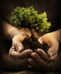 tree-in-hand1