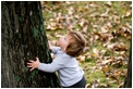 young-tree-surgeon